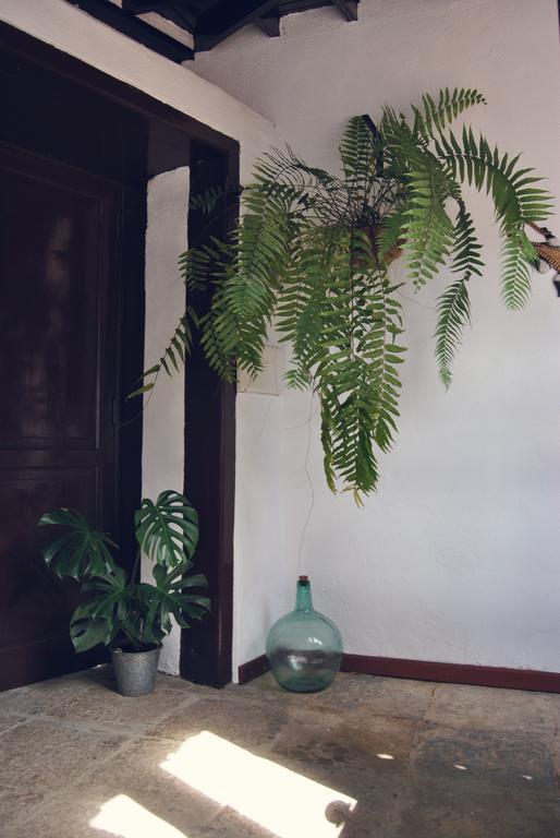 Casa Rural El Palmar Vallehermoso Extérieur photo